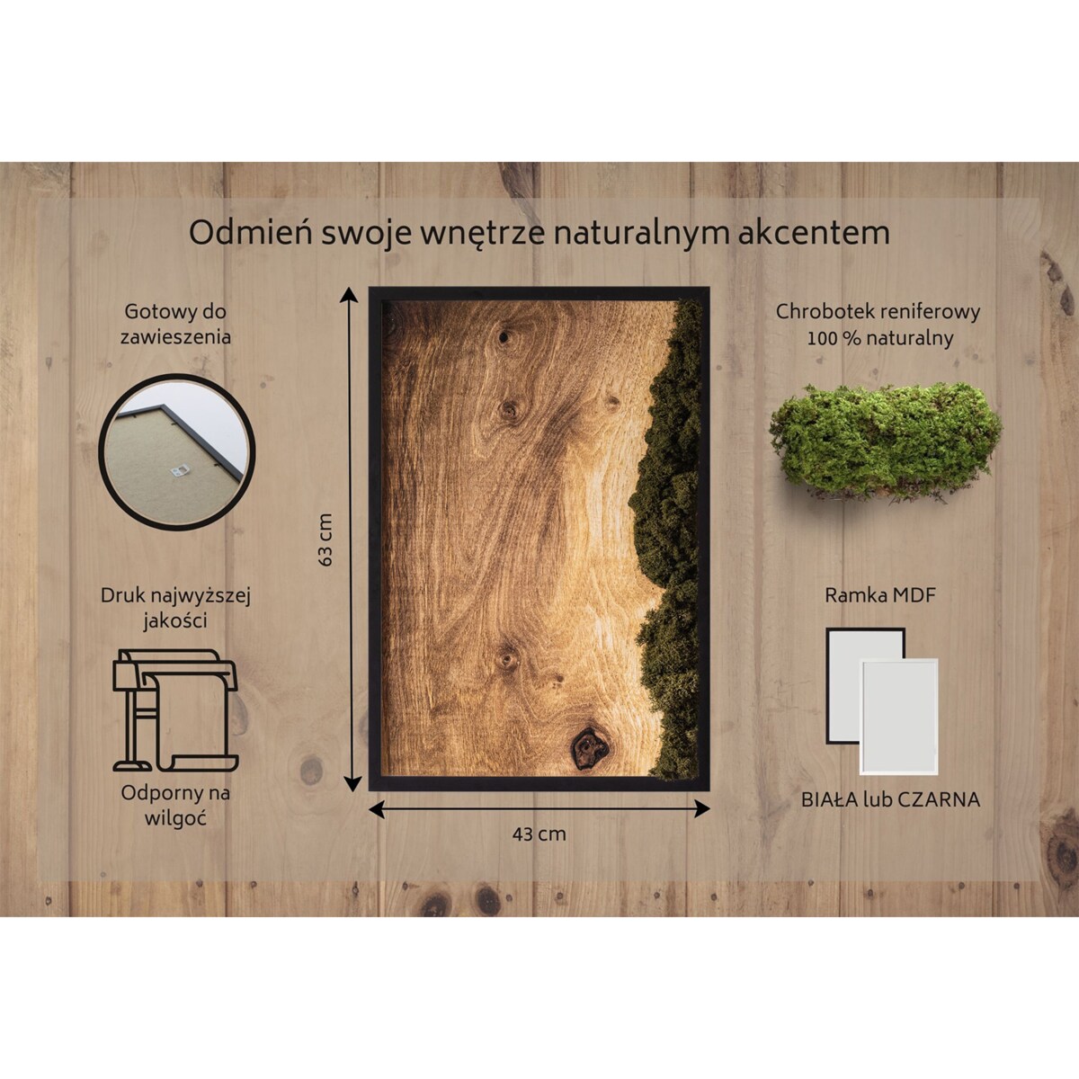 Obraz Dębowa deska naturalna - mech chrobotek w czarnej ramie 40x60cm