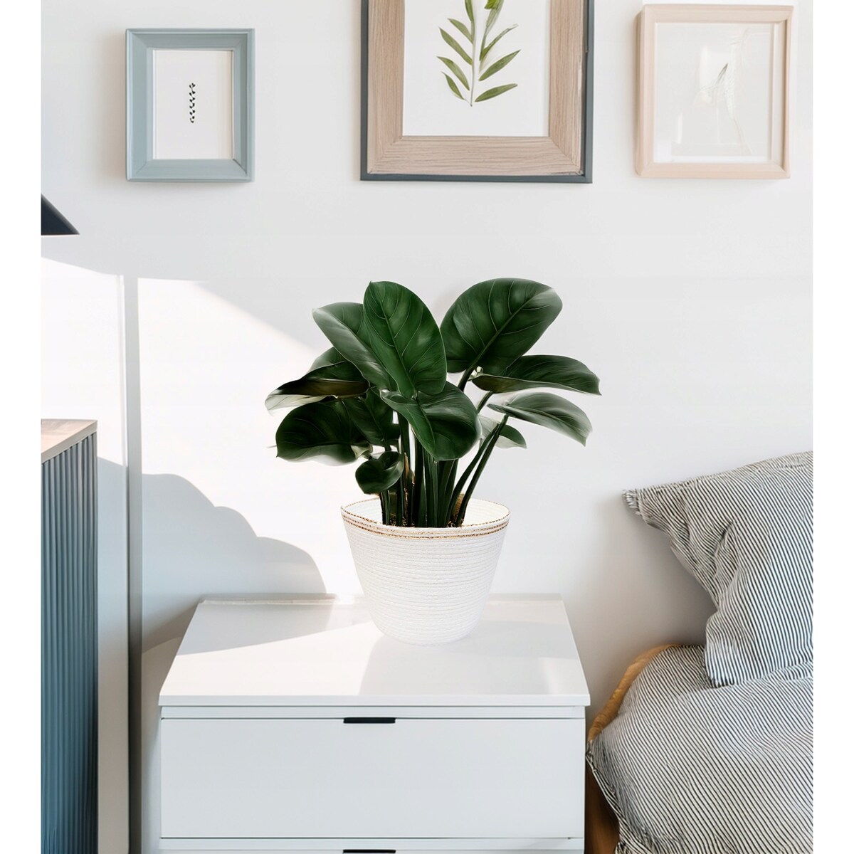 DONICZKA BIAŁA DUŻA 23cm boho na balkon taras osłonka do domu kaktusów