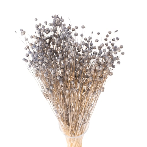 Suszony Len Niebieski (Denim)