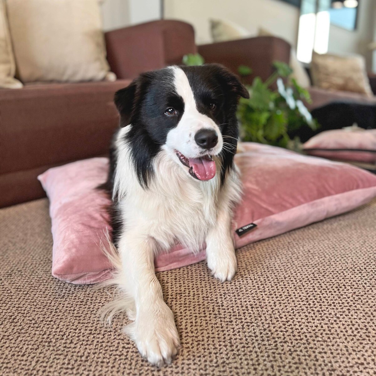 Miękka poduszka dla psa MALIBU, 100x80 cm, Róż