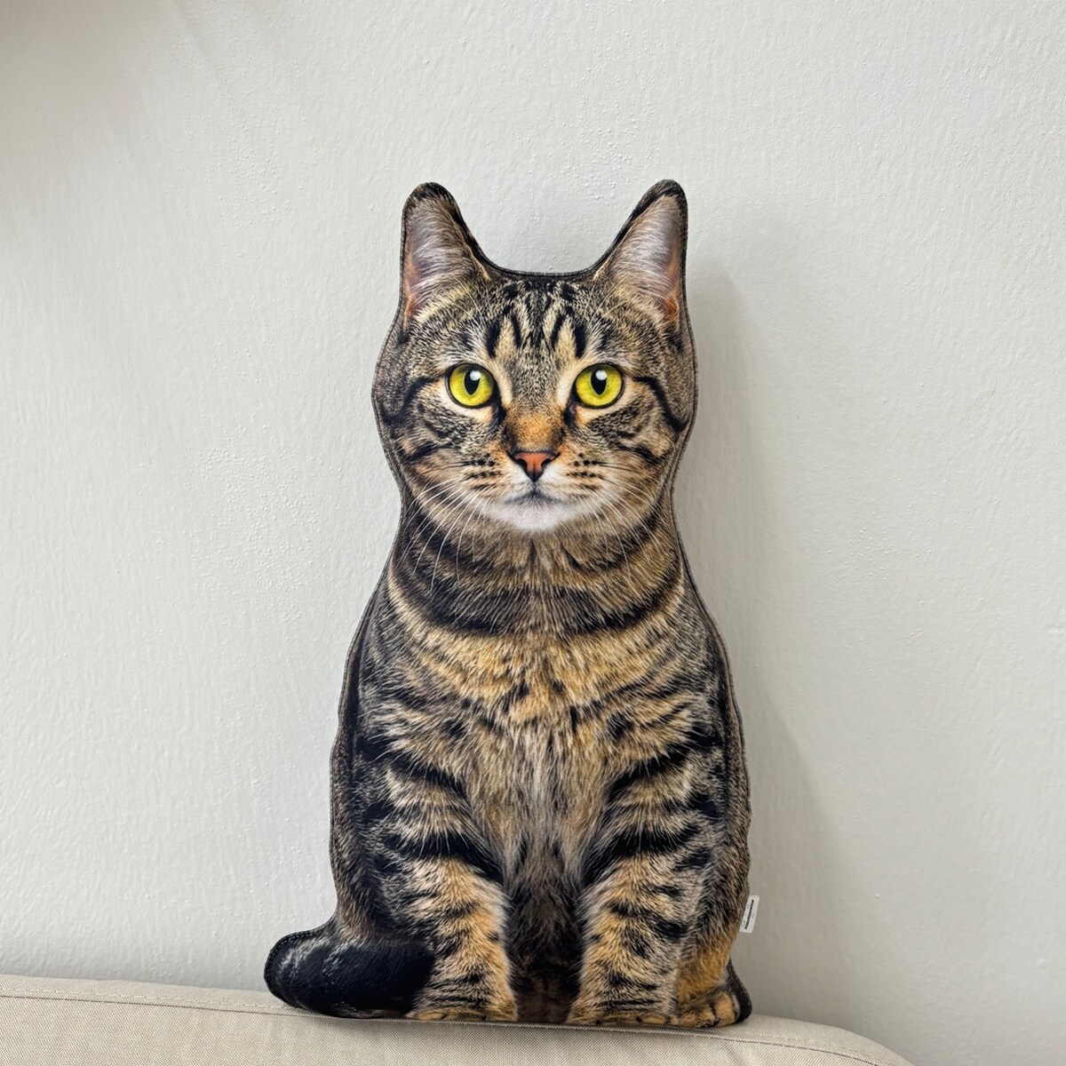 Poduszka Kot domowy pręgowany dachowiec tabby