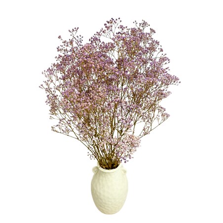 Stabilizowana gipsówka jasnofioletowa