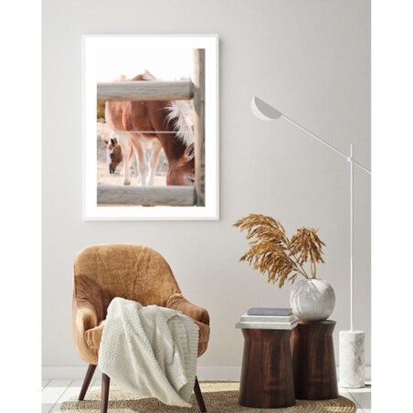 Poster Story, Plakat, Obraz - Konie w Zagrodzie, wymiary 30 x 42 cm
