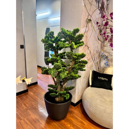 Bonsai na naturalnym pniu 120cm
