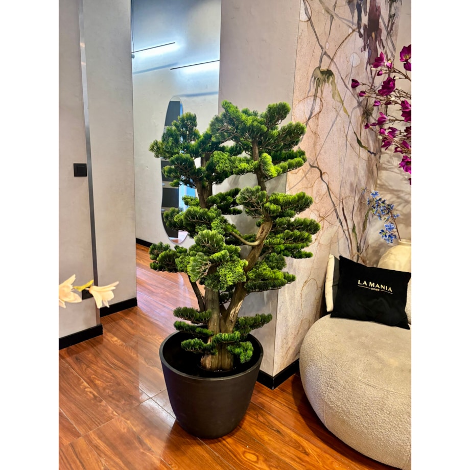 Bonsai na naturalnym pniu 120cm