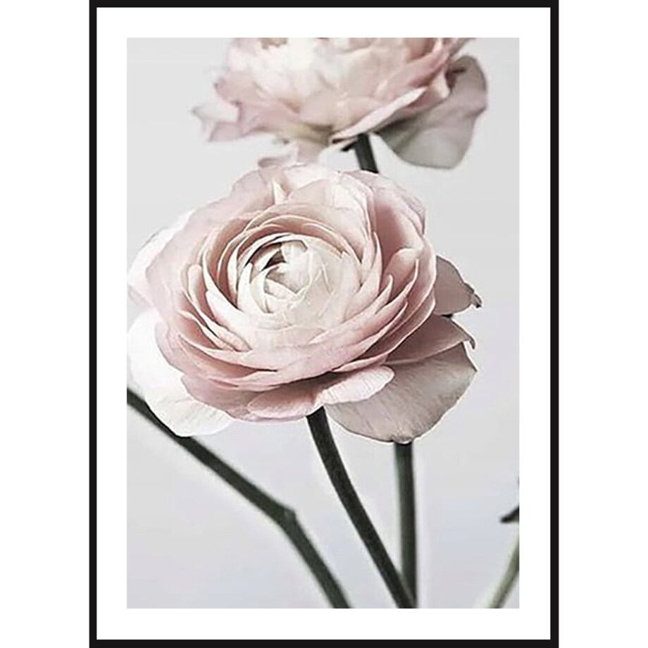 Poster Story, Plakat, Obraz - Delikatne Róże No3, wymiary 60 x 84 cm