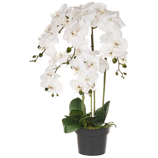 Sztuczna roślina ORCHID 65 cm Biały