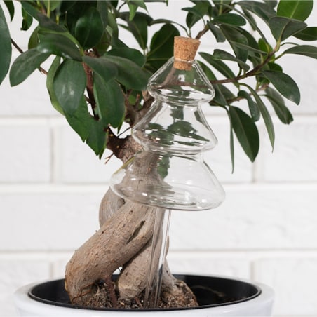 KULA NAWADNIAJĄCA nawadniacz do roślin kwiatów doniczek CHOINKA 180ml