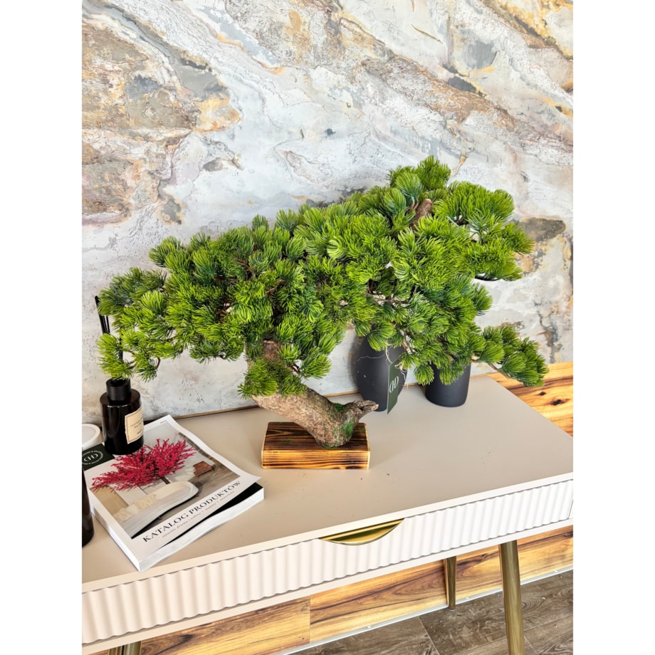 Bonsai iglaste na naturalnym pniu