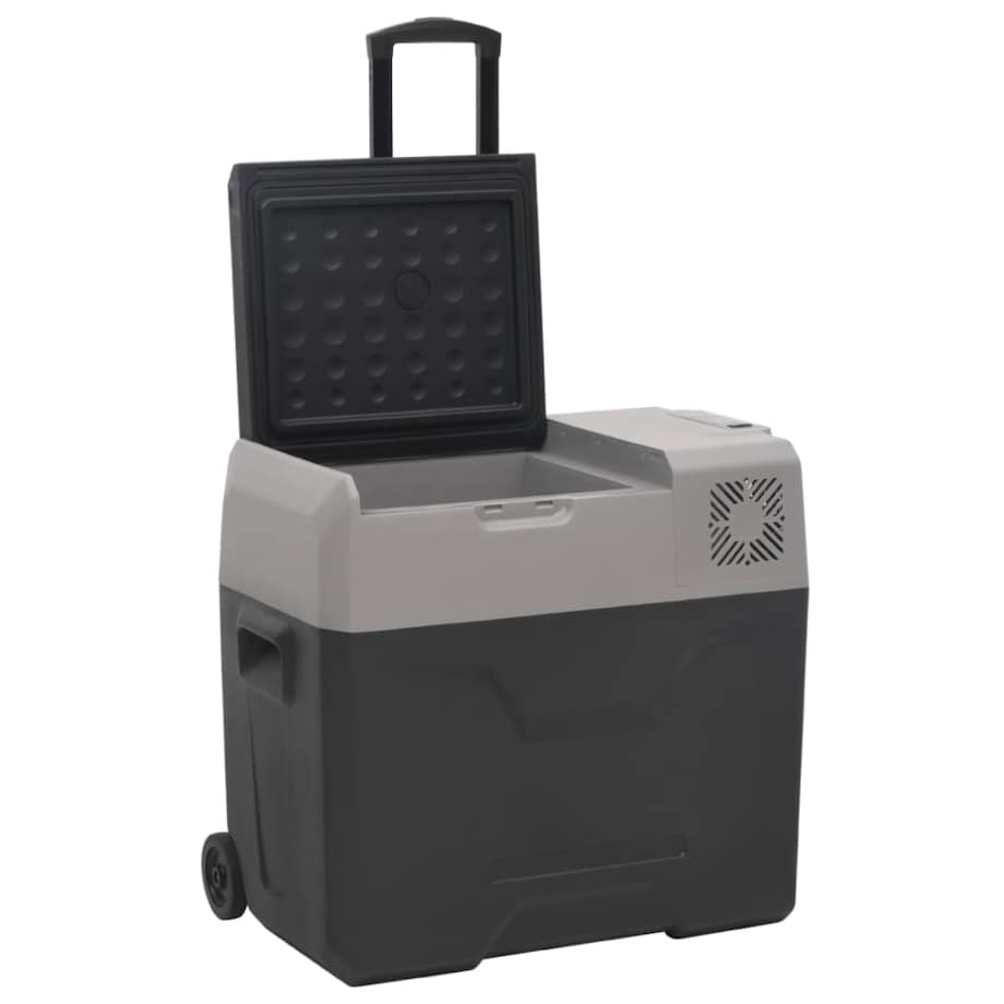vidaXL Lodówka na kółkach, z zasilaczem, czarno-szara, 30 L, PP