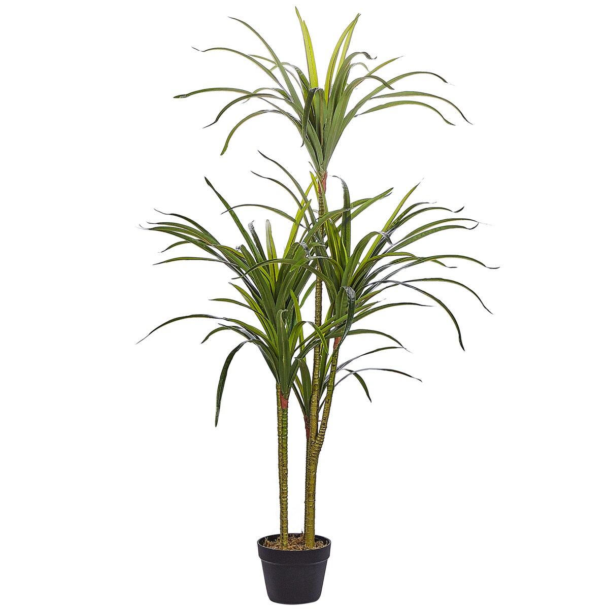 Sztuczna roślina DRACAENA ANITA 147 cm Zielony