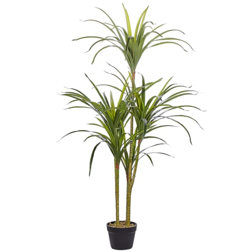 Sztuczna roślina DRACAENA ANITA 147 cm Zielony