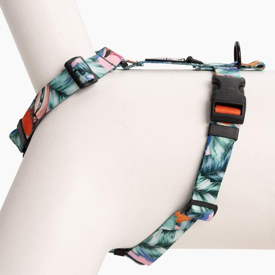 Szelki guard Stay on "Mokry sen kury"