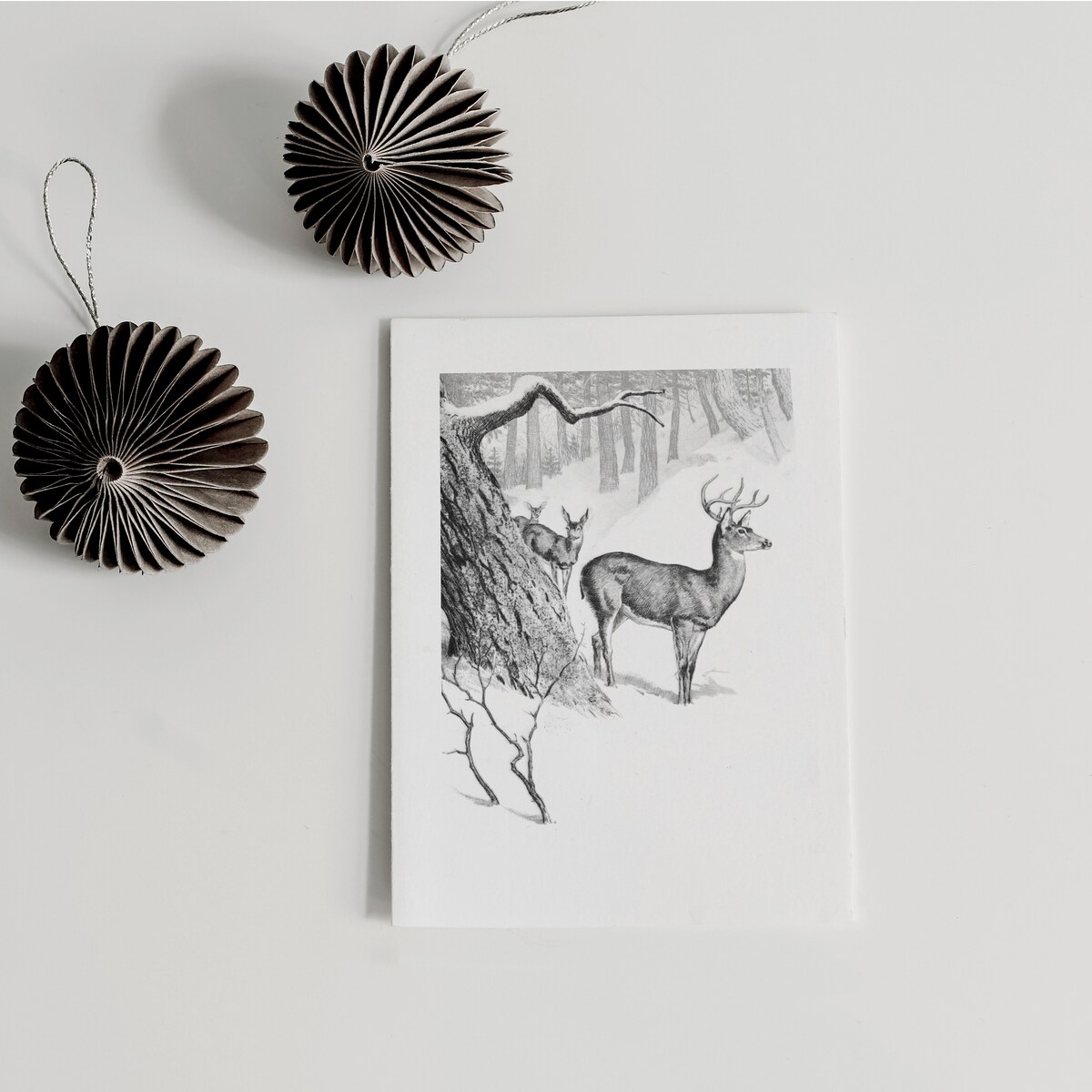 Zestaw Plakatów Zimowy Las 21x30cm