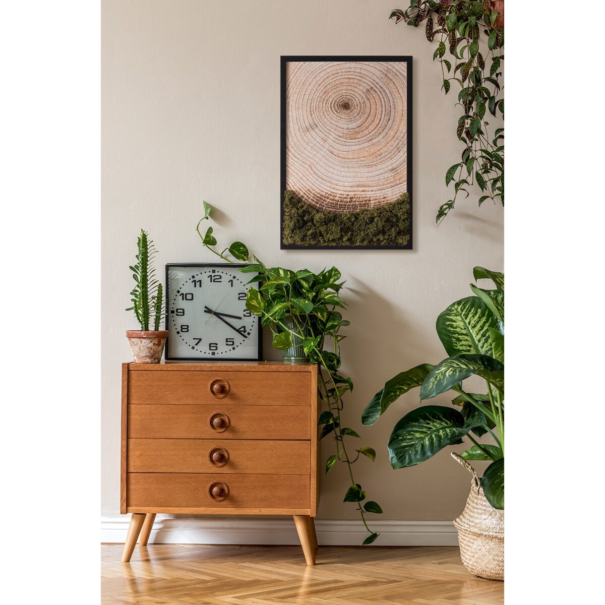 Obraz Słoje drewna - mech chrobotek w czarnej ramie 40x60cm