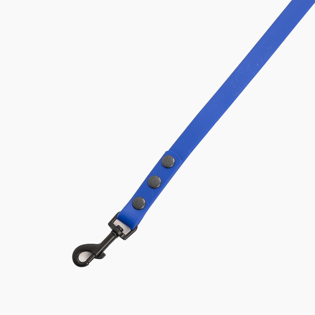 Smycz treningowa Biothane® Indygo AF - Rozmiar: M, Szerokość taśmy: 19mm