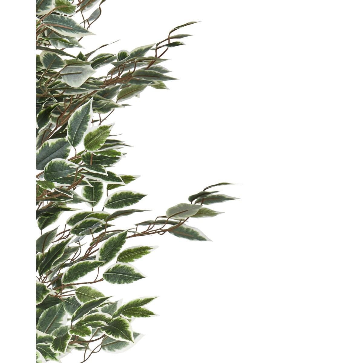 Sztuczna roślina doniczkowa 167 cm FICUS TREE