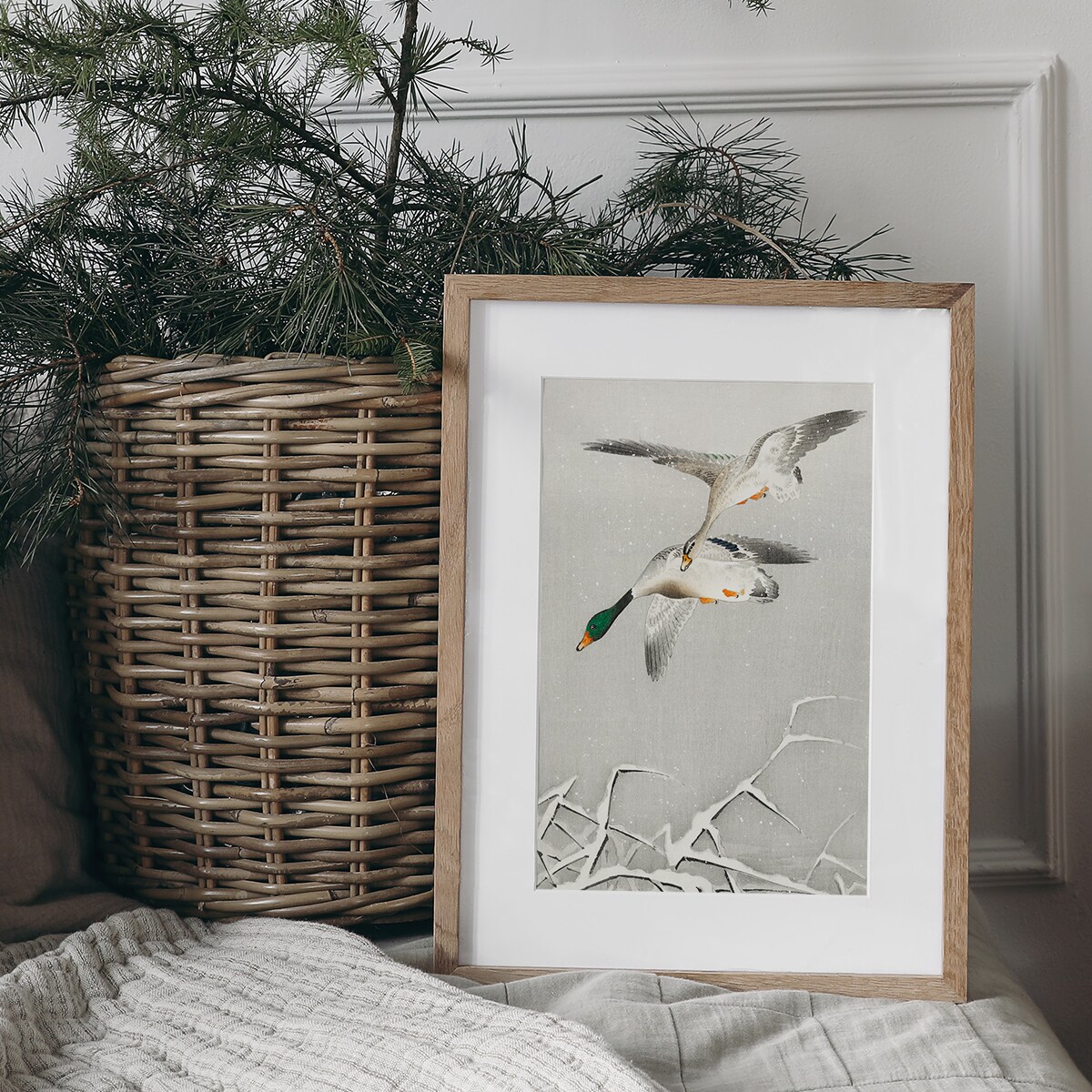 Plakat Kaczki w Locie 30x40cm