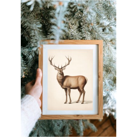 Poster Story, Plakat, Obraz - Beżowy Jeleń na Beżowym Tle, wymiary 60 x 84 cm