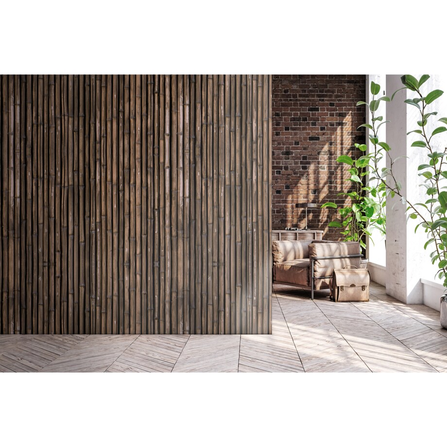 Tapeta Suchy bambus, 416x254cm