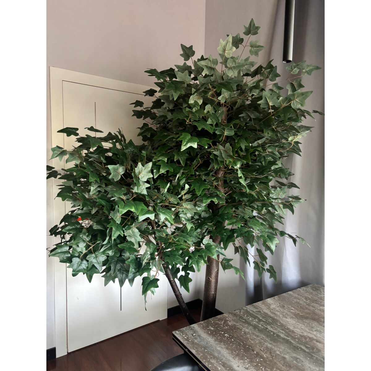 Drzewo klon z zielonymi liśćmi na naturalnym pniu 240 cm