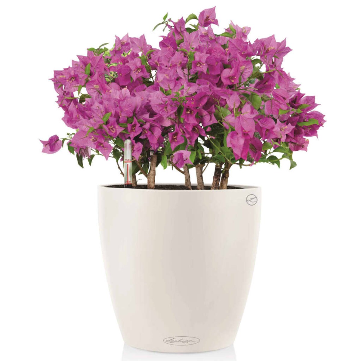 LECHUZA Donica Classico Color 35 ALL-IN-ONE, biała, 13210