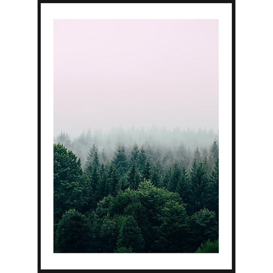 Poster Story, Plakat, Obraz - Las Otulony Mgłą, wymiary 50 x 70 cm