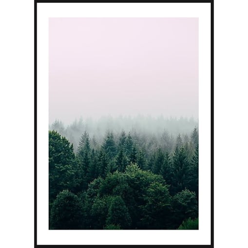 Poster Story, Plakat, Obraz - Las Otulony Mgłą, wymiary 50 x 70 cm