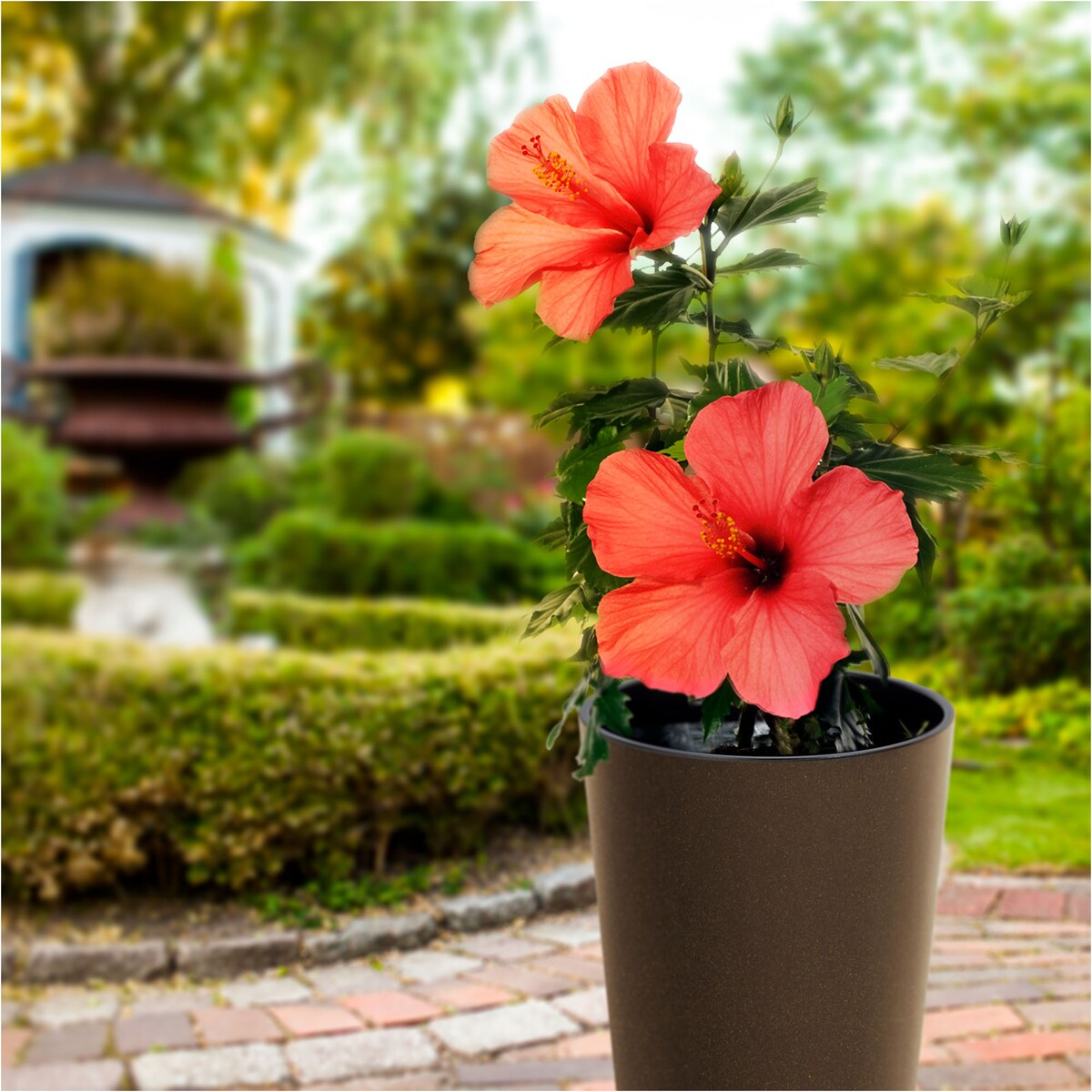 Donica Doniczka Ogrodowa 30 Cm Na Taras Do Ogrodu Domu Eco Wood Kawa