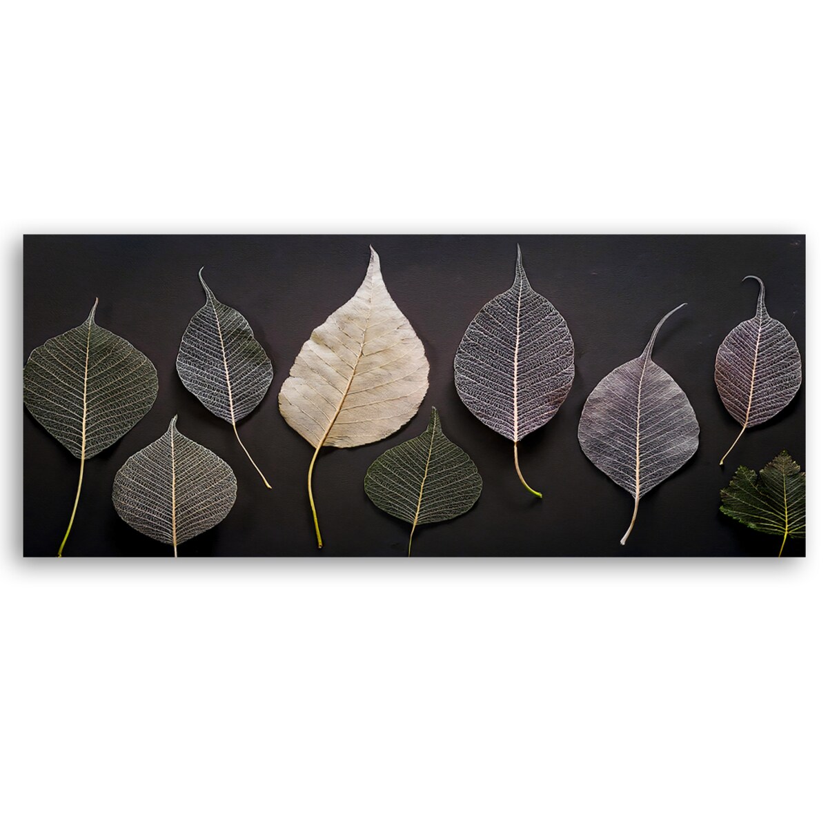 Eleganckie obrazy do salonu sypialni Minimalistyczne Liście Glamour Rośliny 120x40