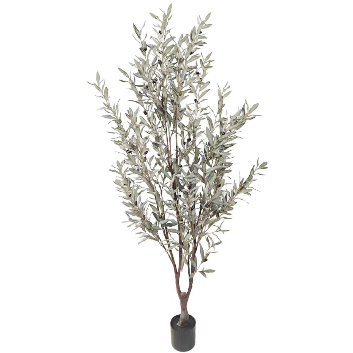 DUZE DRZEWKO OLIWNE SZARE 160 cm