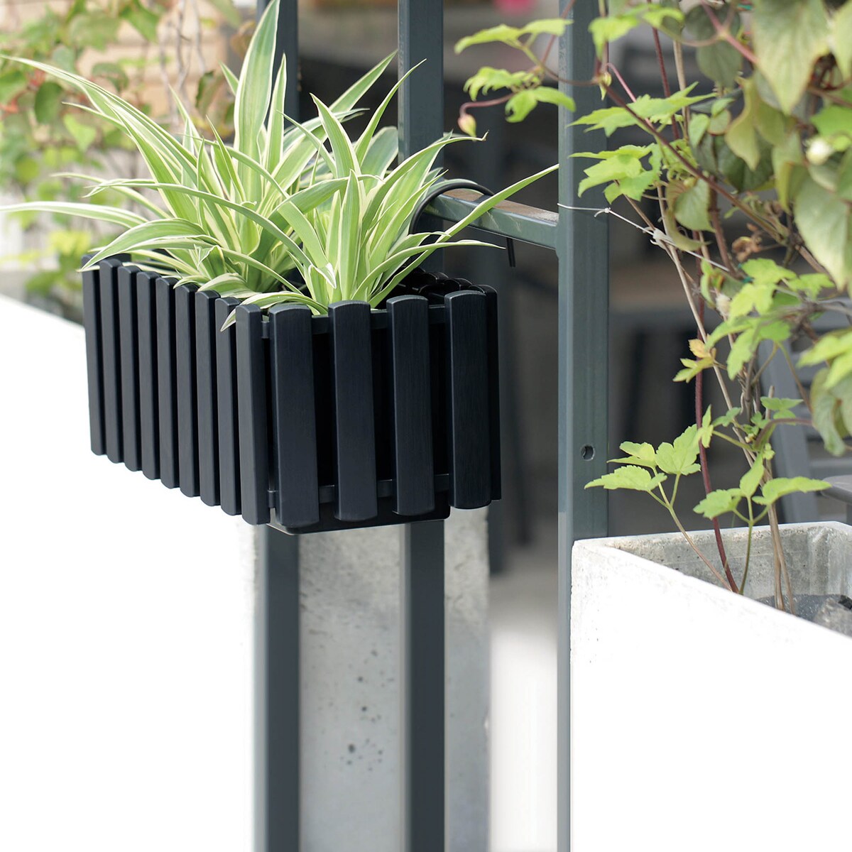 Skrzynka Balkonowa Donica Doniczka Balkon Wisząca Skrzynka Balkonowa