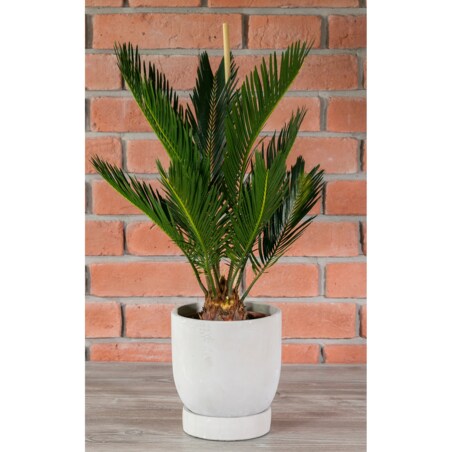 DONICA VIGGO szara STYL SKANDYNAWSKI śr. 17cm