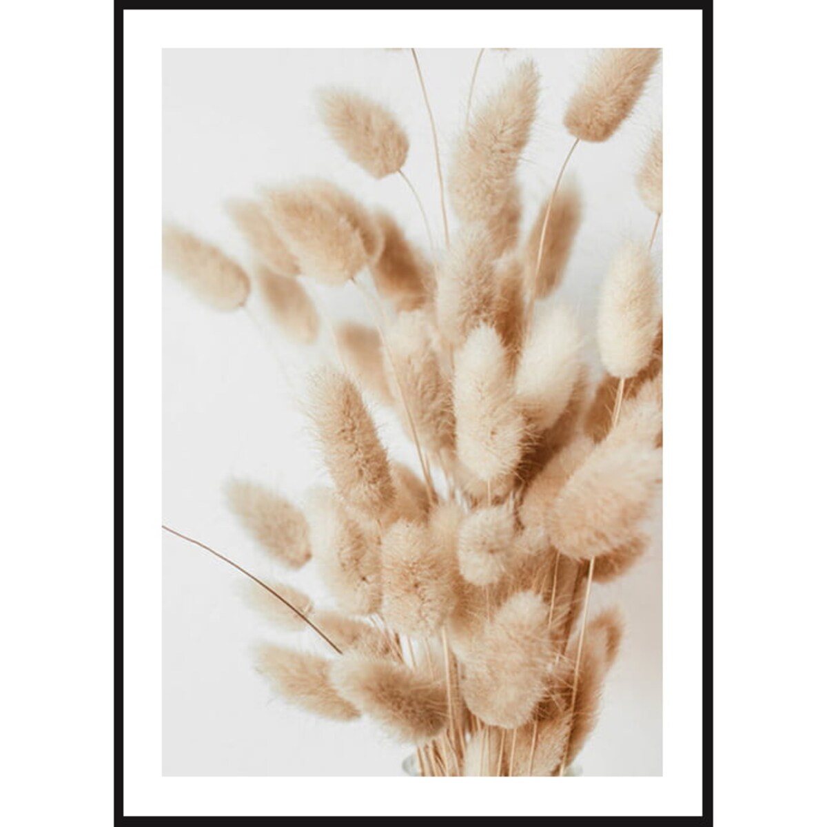 Poster Story, Plakat, Obraz - Trawa Pampasowa na Łące, wymiary 50 x 70 cm