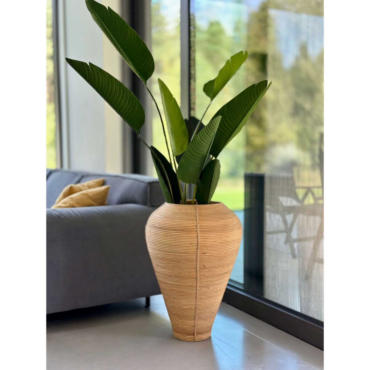 WAZON NICOLAS NATURALNY