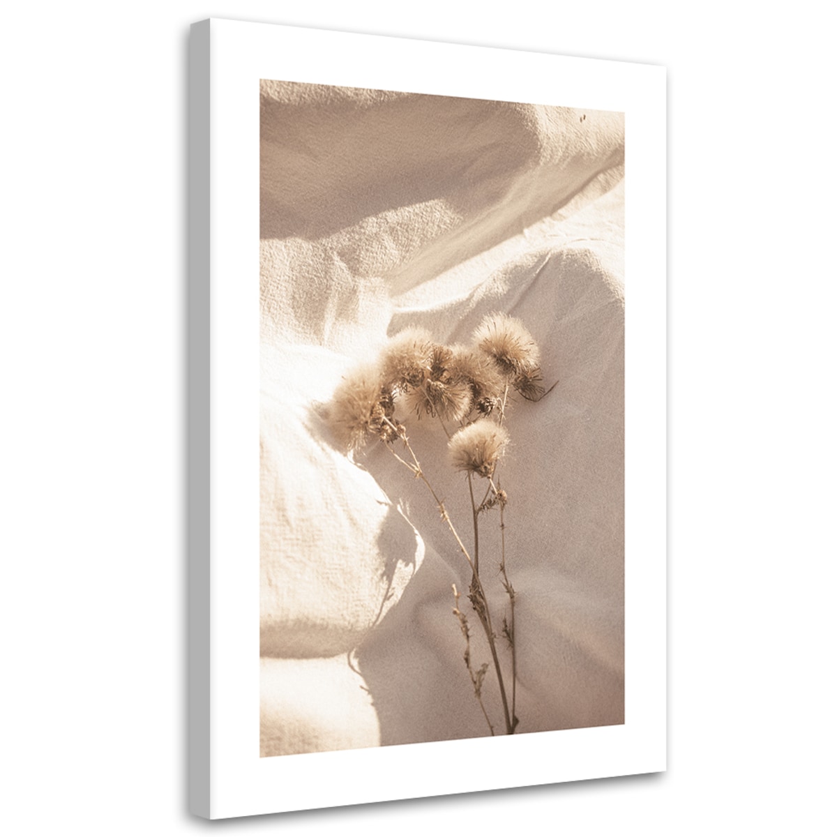 Obraz na płótnie, Delikatne suche kwiaty