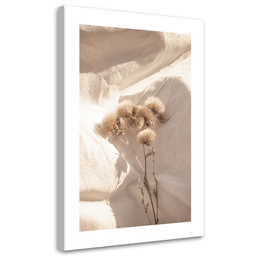 Obraz na płótnie, Delikatne suche kwiaty