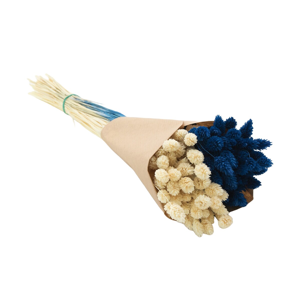 Zestaw suszonych traw biel & granat