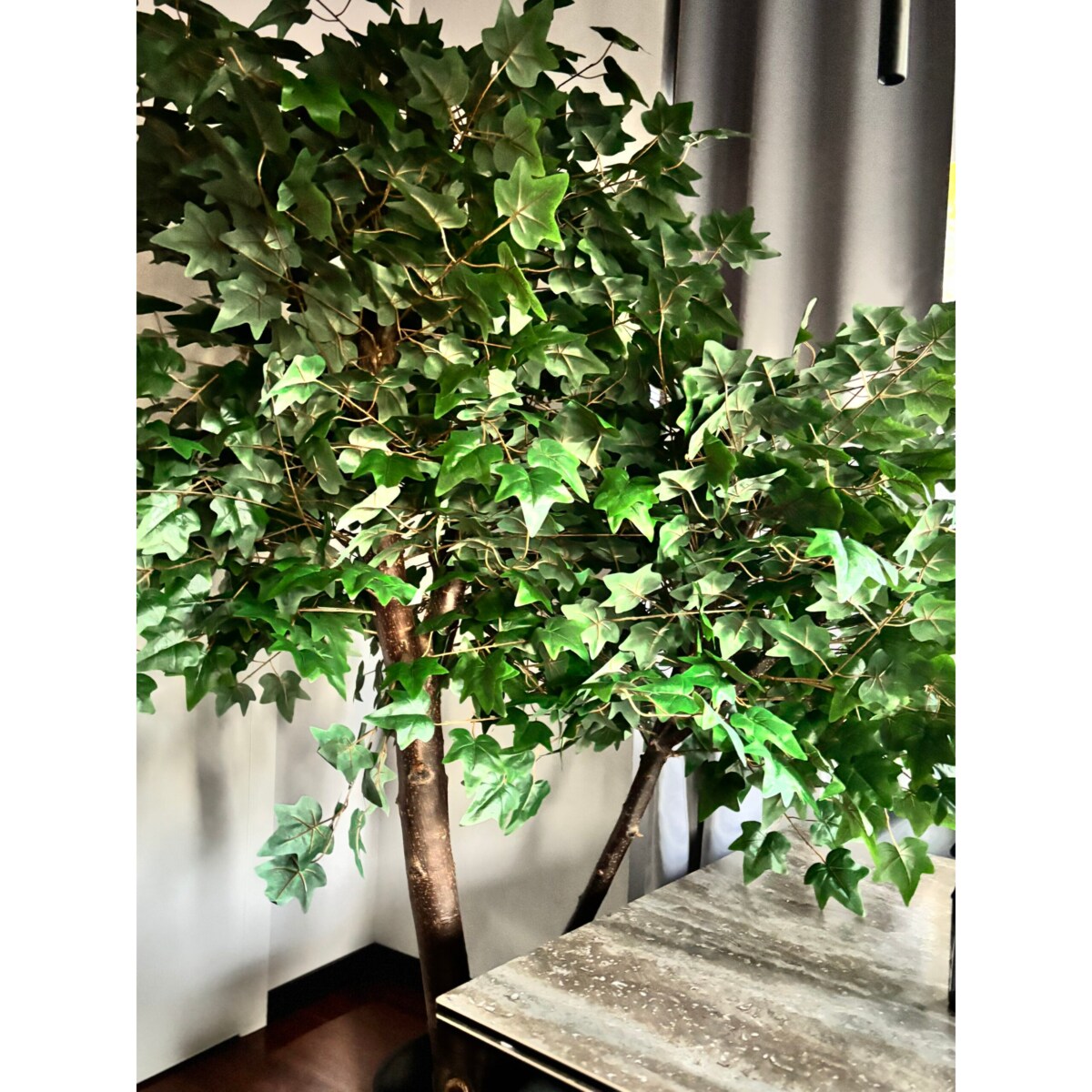 Drzewo klon z zielonymi liśćmi na naturalnym pniu 240 cm