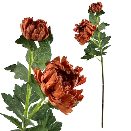 Gałązka Chryzantemy Viridis