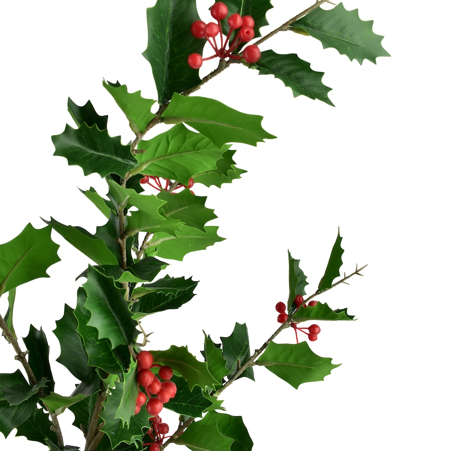 Gałązka Ostrokrzewu Viridis