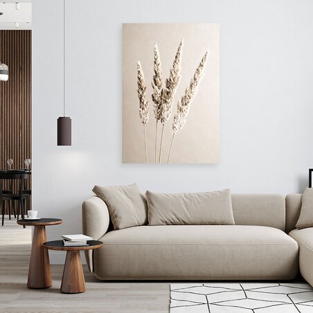 Obraz do salonu kuchni jadalni, Trawa pampasowa rośliny beżowy 80x120