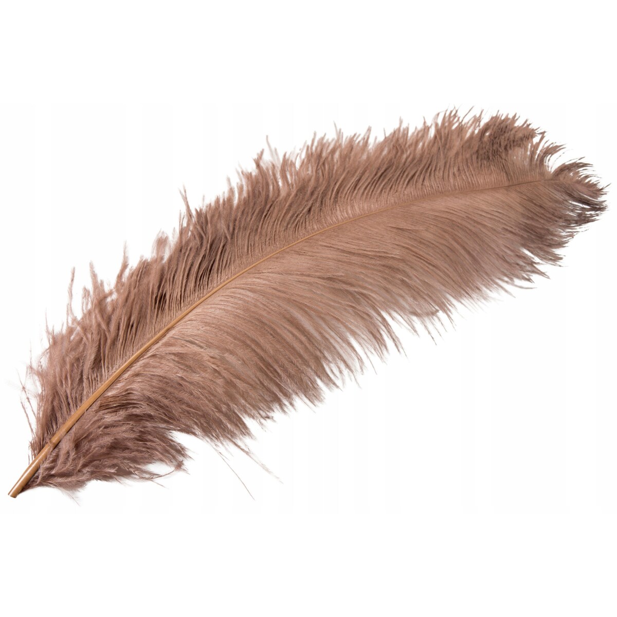 PIÓRO STRUSIE dekoracyjne KOLOR NUGATOWY 60cm