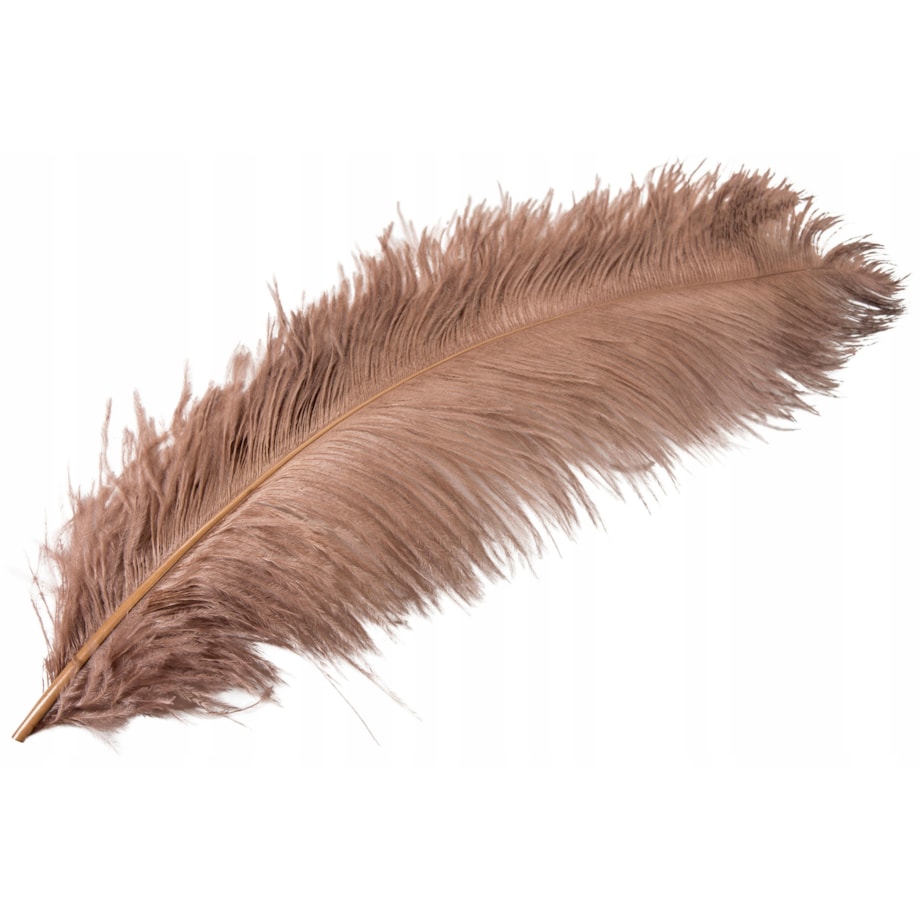 PIÓRO STRUSIE dekoracyjne KOLOR NUGATOWY 60cm