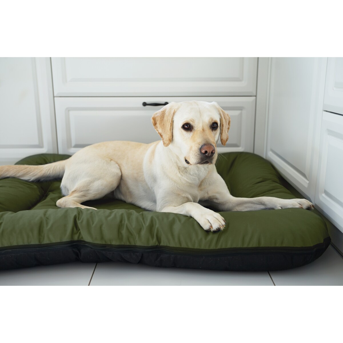 Wodoodporny materac dla psa ponton KLEO, 110x90 cm, Zielony