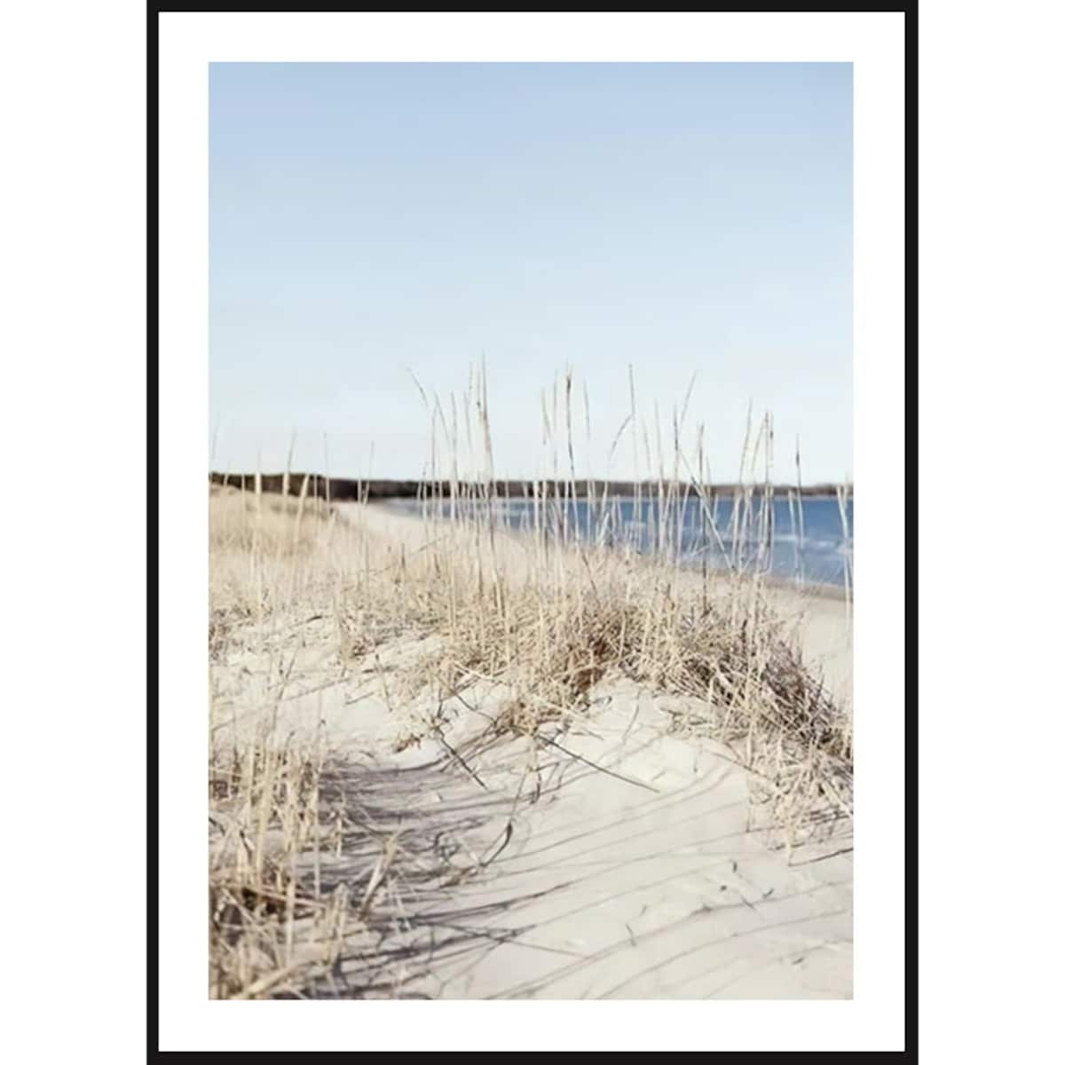 Poster Story, Plakat, Obraz - Trawa przy Morzu, wymiary 21 x 30 cm