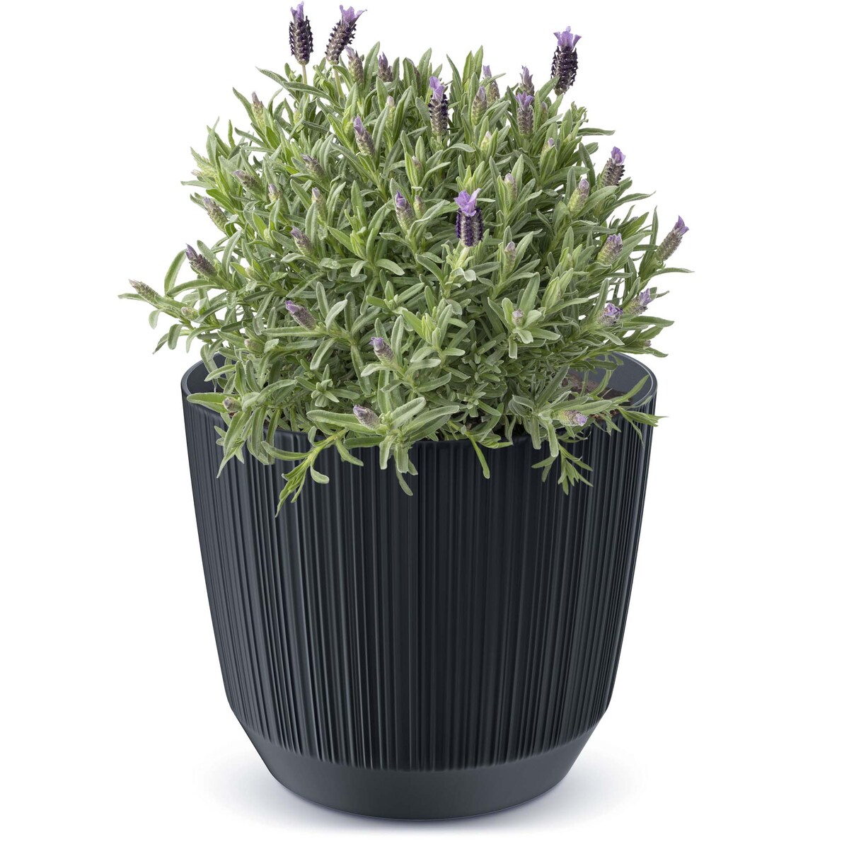 Doniczka Osłonka Domowa 14,6 Cm Ryfo Na Stół Parapet Do Domu Antracytowa