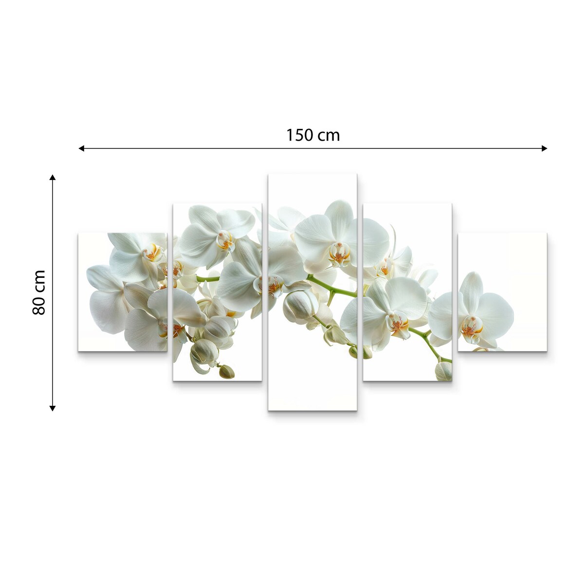 Obraz na płótnie Biała orchidea 150x80cm