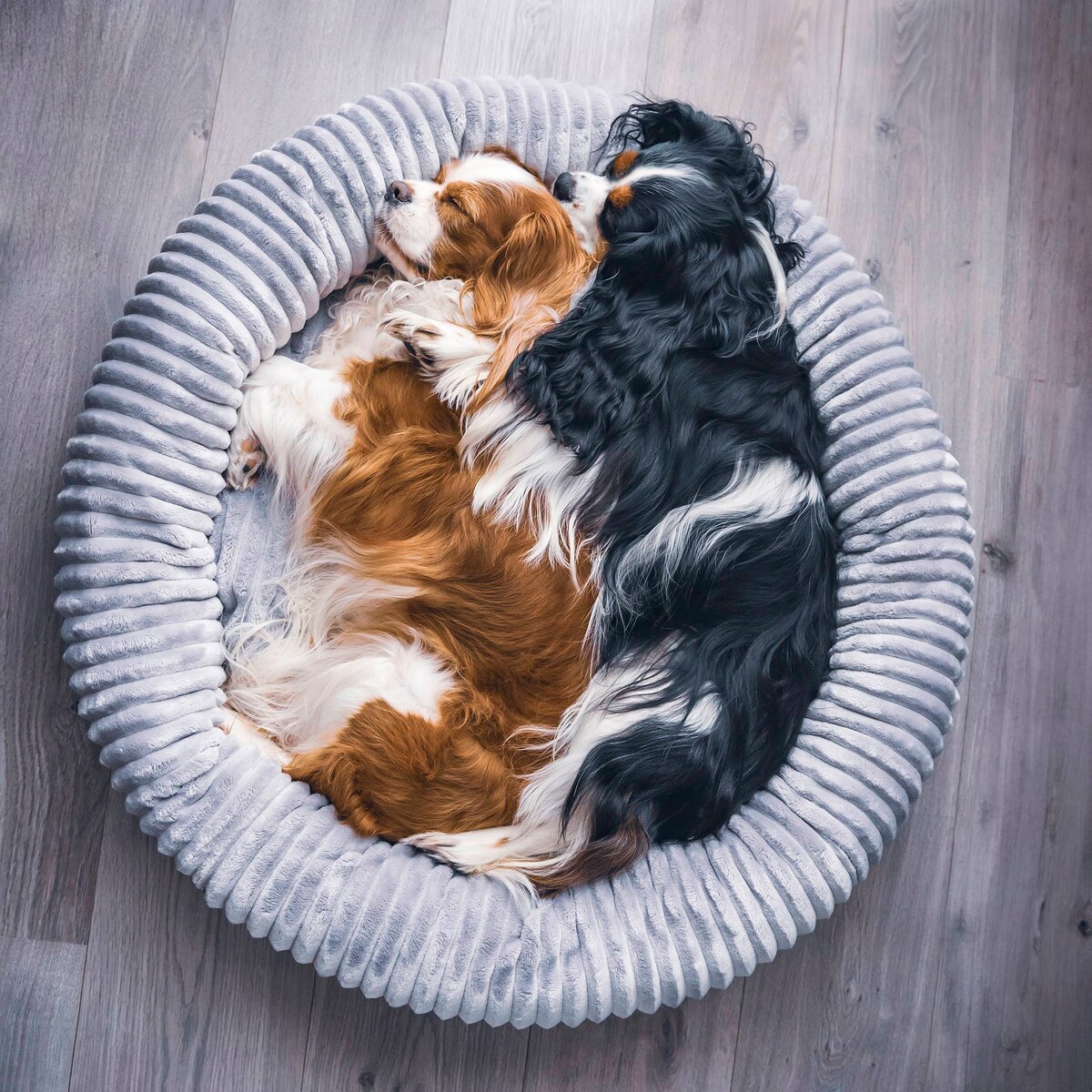 Urocze legowisko dla psa lub kota LUNA, 75x65 cm, Grafit