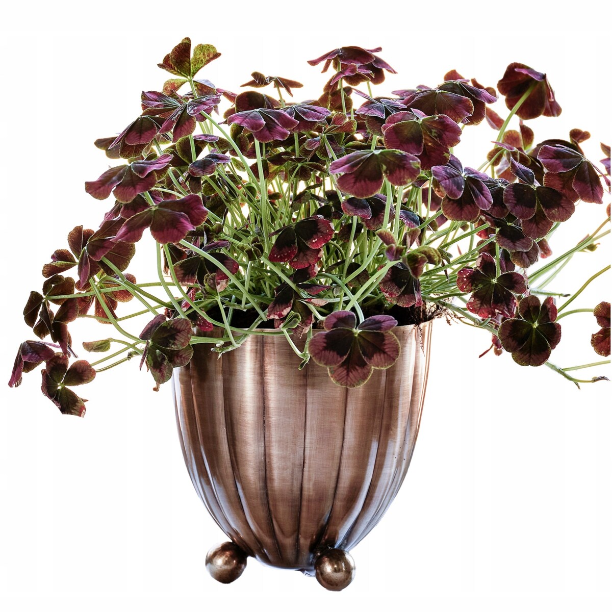 DONICZKA ZŁOTA METALOWA MAŁA 8cm okrągła na parapet balkon taras do salonu